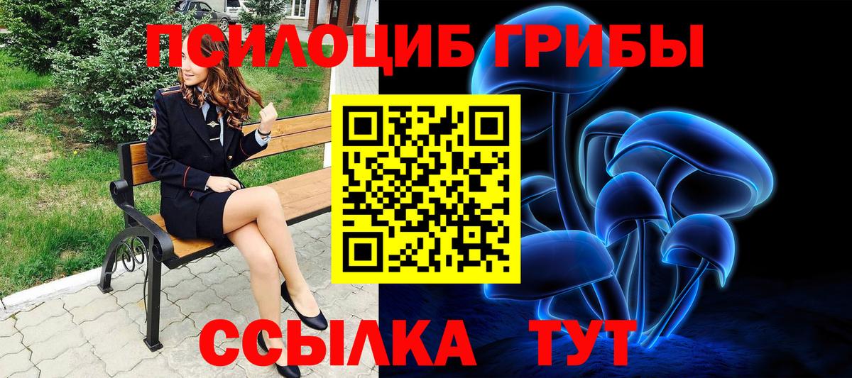 Шарыпово  Галлюциногенные грибы ЛСД  Вход с VPN 